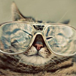 Meet your Posher, Hugh